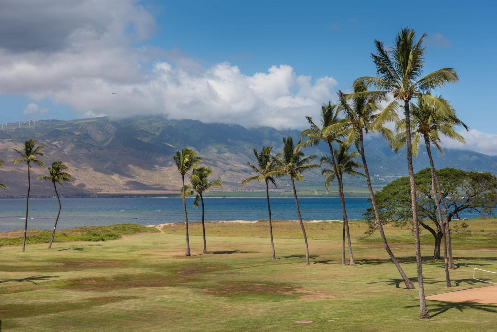 Boutique Oceanfront Vistas Holiday home