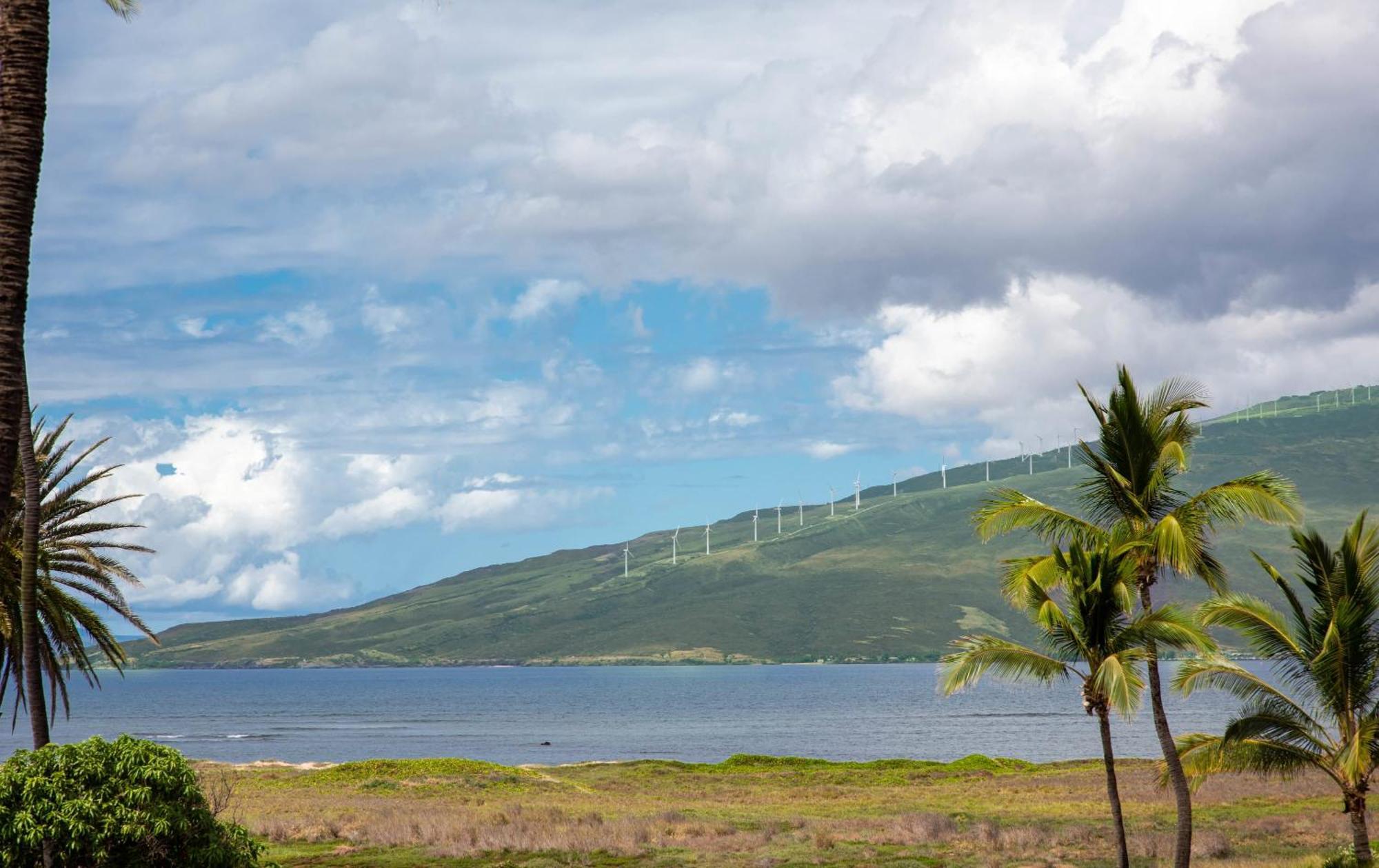 Boutique Oceanfront Vistas Kihei