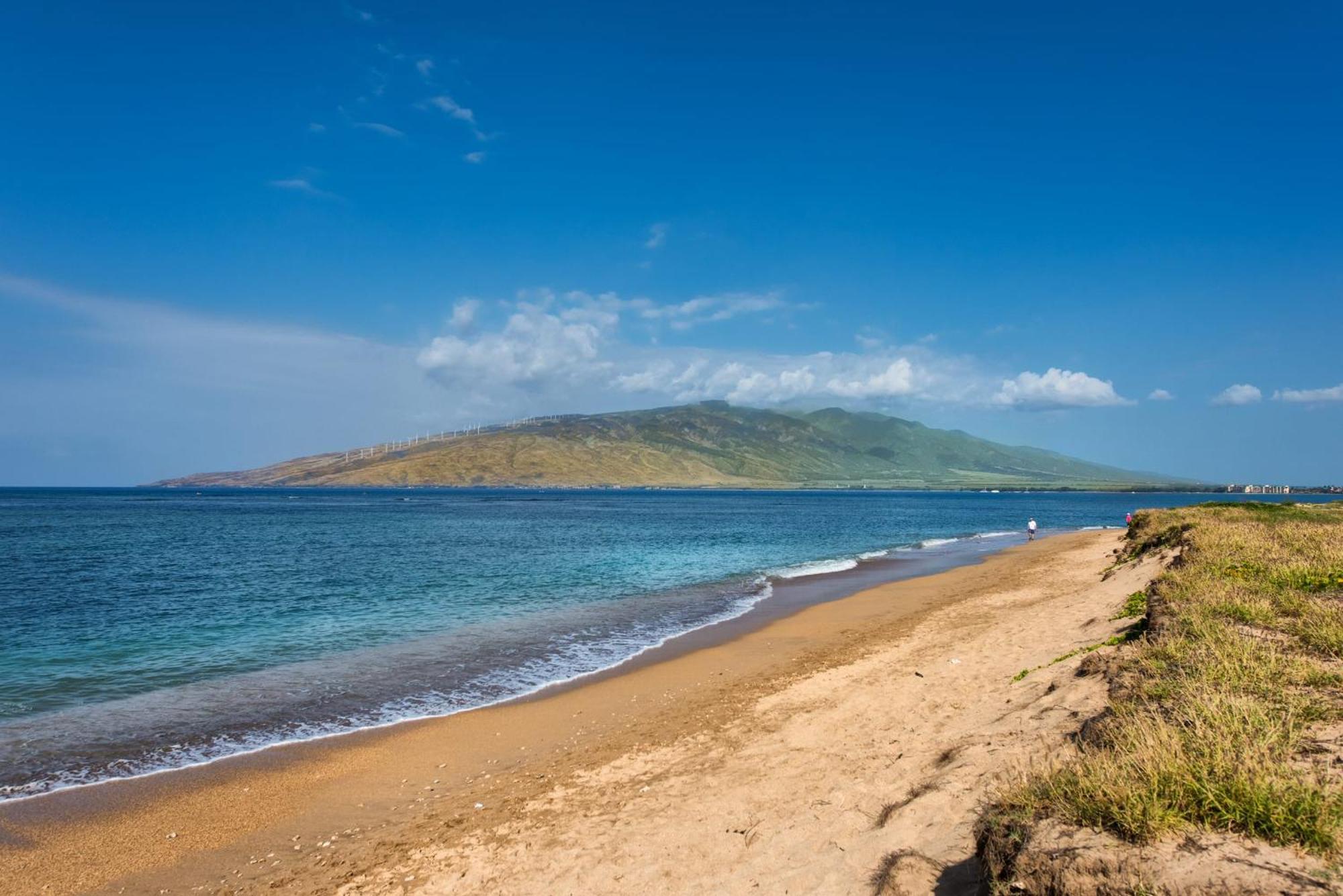 Boutique Oceanfront Vistas Kihei